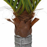Artificial Palm Tree 6 Leaves 100 cm Green 4103575