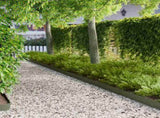 Lawn Edging 30 pcs 103 x 15 cm metal Olive Green 8008252