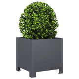 Garden Planters 2 pcs Anthracite 30x30x30 cm Steel 851190