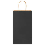 ZNTS Paper Bags 250 pcs with Handles Black 21x11x36 cm 4101645