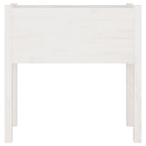 Garden Planters 2 pcs White 70x31x70 cm Solid Pinewood 810822