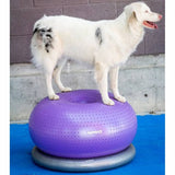 ZNTS FitPAWS Pet Balance Ball TRAX Donut 55 cm Purple 428432
