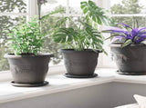 Plant Pots 24 pcs Black 22 x 18 cm Plastic 3403285