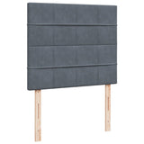 Box Spring Bed with Mattress Dark Grey 120x200 cm Velvet 3290883