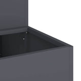 Garden Planter Anthracite 100 x 60 x 45 cm Cold-rolled Steel 865871