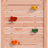 Outdoor Playset 53x46.5x169 cm Solid Wood Douglas 826560