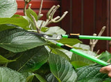 Garden Shears 61304532