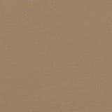 Retractable Side Awning Taupe 170x300 cm 4004334