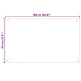 Kitchen Backsplash Transparent 100 x 60 cm Tempered Glass 249477