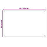 Kitchen Backsplash Transparent 100x60 cm Tempered Glass 249477