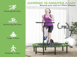 Exercise Trampoline 13212394
