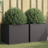 ZNTS Planters 2 pcs Black 49x47x46 cm Cold-rolled Steel 841560