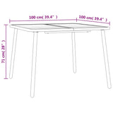 Garden Table Anthracite 100x100x71 cm Steel 362738