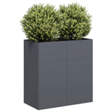 Planter Anthracite 80x40x80 cm Cold-rolled Steel 860712