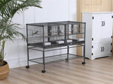 Bird Cage 09461033