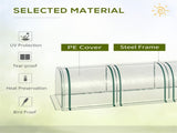 Mini Greenhouse 89202585
