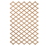 ZNTS Nature Garden Trellis 100x200 cm Wood Natural 6041703 409346