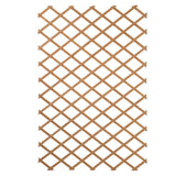 ZNTS Nature Garden Trellis 100x200 cm Wood Natural 6041703 409346