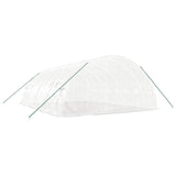Greenhouse with Steel Frame White 48 m 8x6x2.85 m 3188118