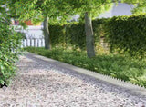 Lawn Edgings 30 pcs Silver 103 x 0.05 x 22 cm Stainless Steel 874758