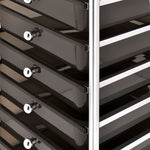 10-Drawer Mobile Storage Trolley Black Plastic 320402