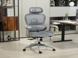 Multi-Adjustable Mesh Office Chair - Grey T3398P424984