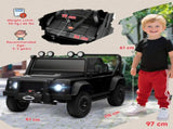 Truck Electric Car 12879542