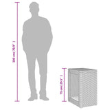 Garden Side Table with Wooden Top Black 60x40x75 cm Poly Rattan 366303