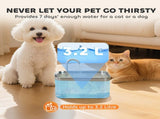 Cat Water Fountain 50874929