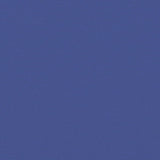 Retractable Side Awning Blue 220x1000 cm 4004776