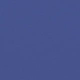 Retractable Side Awning Blue 220x1000 cm 4004776
