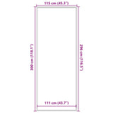 Doormat Anthracite 115x300 cm 4105554