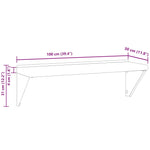 ZNTS Wall Shelf 100x30x31 cm Silver Stainless Steel 30273