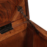 Storage Box with Storage with Door Brown Solid Mango Wood 4104568