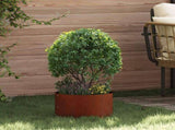 Planter Ring 5 pcs Brown 30 x 30 x 20 cm Weathering Steel 873605