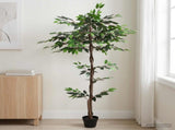Artificial Ficus Plant Green 85 x 18 x 160 cm Fabric and Wood 42042067