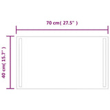 LED Bathroom Mirror 70x40 cm 151745