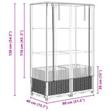 ZNTS Raised Bed with Greenhouse Cover Rattan Look 80x40x138 cm 4015814