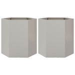 ZNTS Garden Planter 2 pcs Hexagon 46x40x45 cm Stainless Steel 851117