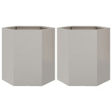 ZNTS Garden Planter 2 pcs Hexagon 46x40x45 cm Stainless Steel 851117