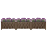 ZNTS Raised Bed 120x40x23 cm Polypropylene 316513