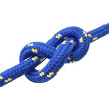 Boat Rope 5 m 6 Blue PP 42029591