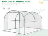 Walk-in Polytunnel Greenhouse with Roll-up Door Transparent Tunnel Greenhouse with Steel Frame and T3398P325355