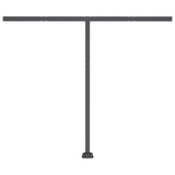 Manual Retractable Awning with LED 300x250 cm Anthracite 3069704