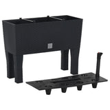 Raised Garden Bed Anthracite 60x25x46 cm PP Rattan 152208