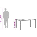 Garden Table with Glass Top Black 150x90x75 cm Poly Rattan 365531