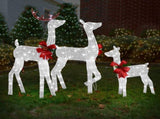 3-Piece Lighted Christmas Reindeer Family Set Outdoor Decorations, Weather Proof 2D Deer Family Set 92590347