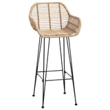 Bar Chair 2 pcs 55 x 52 x 105 cm Rattan and Iron 42011553
