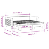 Daybed with Trundle and Mattresses Dark Grey 90x190 cm Velvet 3197864