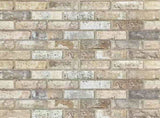Wall Panels 10 pcs Sand 100 x 50 cm EPS Foam 153606